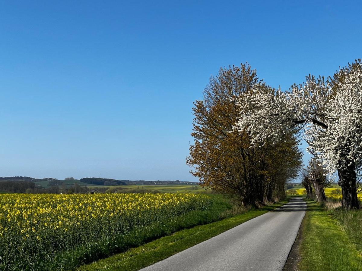 Gut Manderow An Der Ostsee Hohenkirchen  Exteriör bild